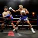 RESULTADOS: «BOXEO CALIENTE» EN TRUJILLO ALTO